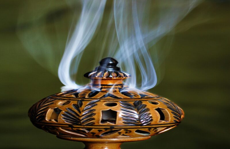 pexels-pixabay-248032_resized